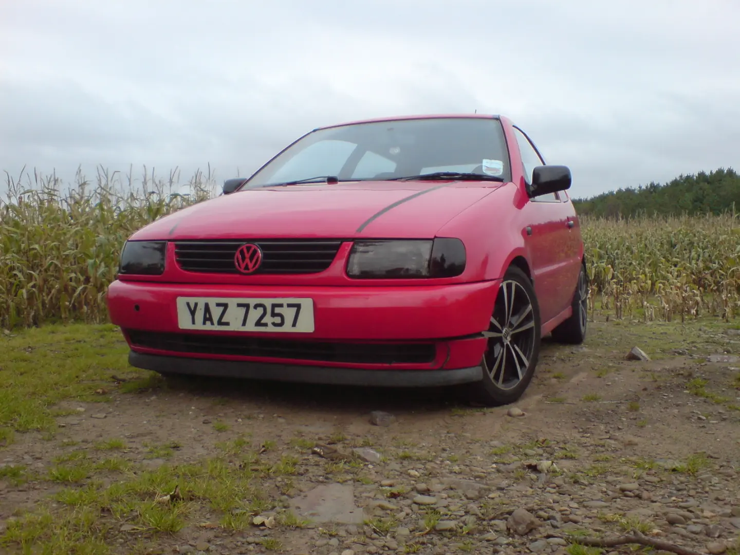 Volkswagen Polo Polo 1.4 6