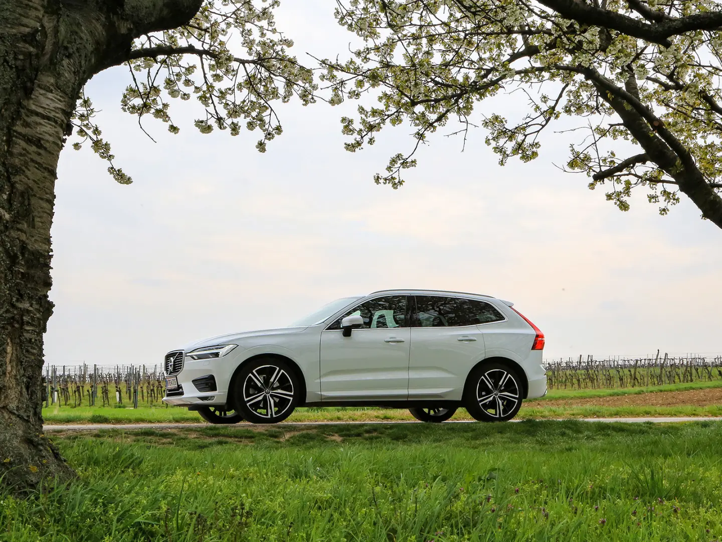 Volvo XC60 XC60 2.0 D D4 AWD R-Design Geartronic 5