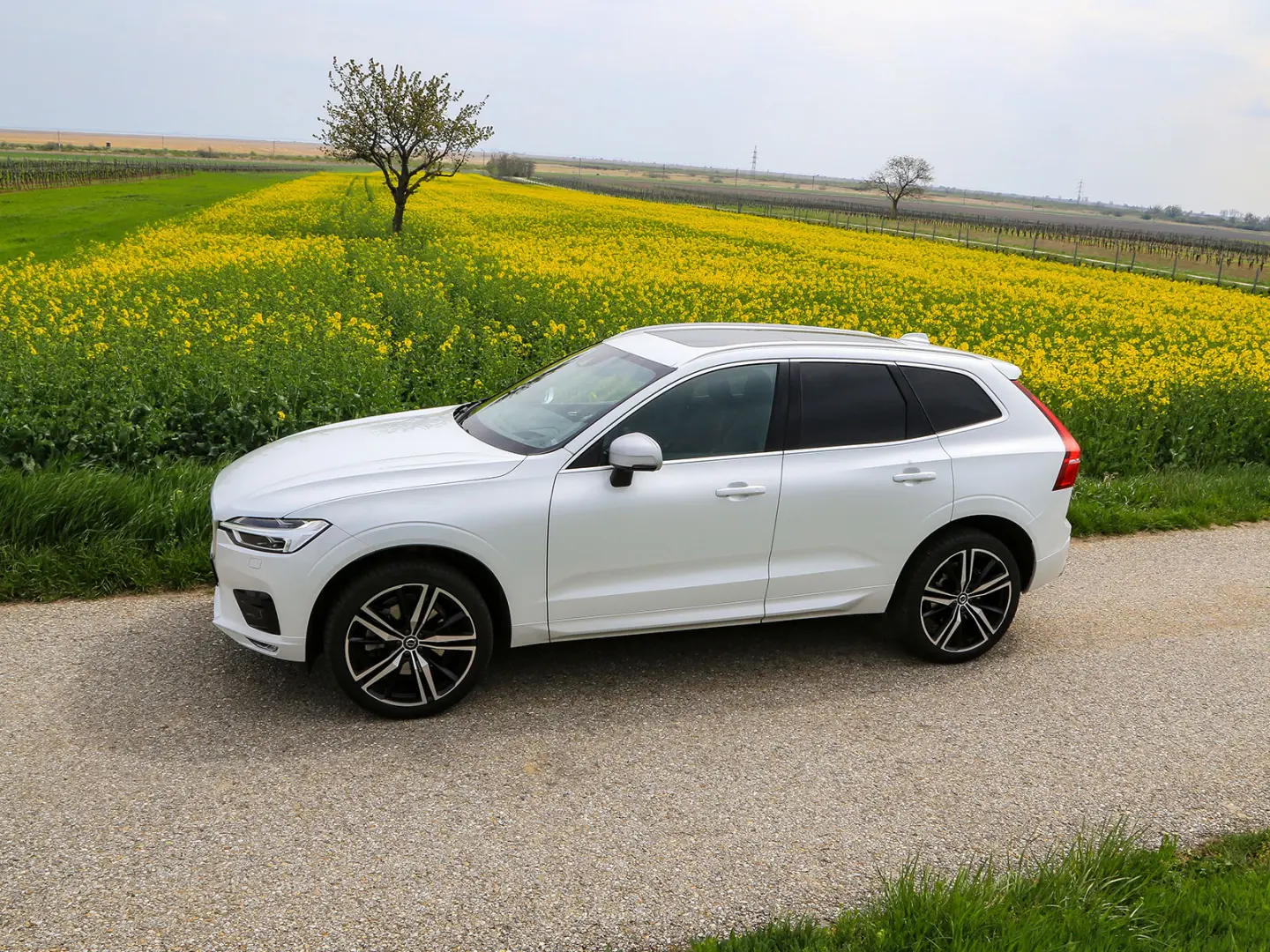 Volvo XC60 XC60 2.0 D D4 AWD R-Design Geartronic 7