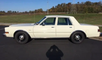 Dodge Diplomat Diplomat 6.5 SE