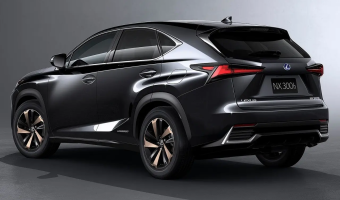 Lexus NX NX 300 AWD Business