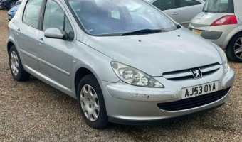 Peugeot 307 307 1.6 Envy