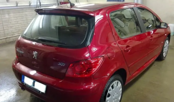 Peugeot 307 307 1.6 Feline
