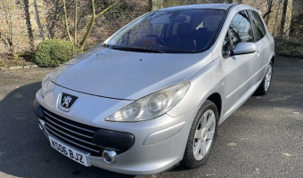 Peugeot 307 307 1.6 Feline