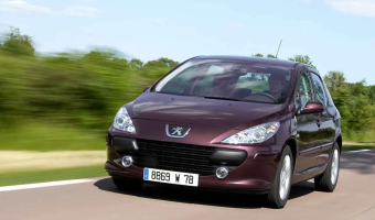 Peugeot 307 307 1.6 Premium