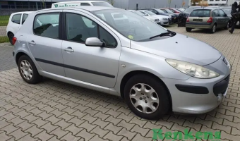 Peugeot 307 307 1.6 Premium