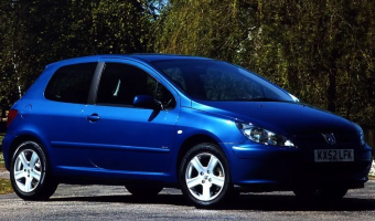 Peugeot 307 307 1.6 Envy