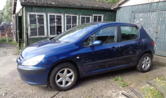 Peugeot 307 307 1.6 Technoplus