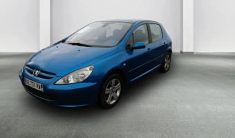 Peugeot 307 307 2.0 XT Premium