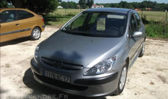Peugeot 307 307 2.0 XT