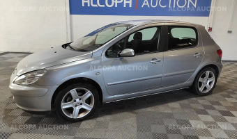 Peugeot 307 307 2.0 XT Premium