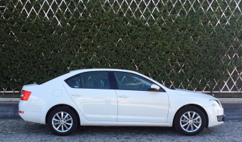 Skoda Octavia Octavia Kombi 1.6 TDI GreenTec 4x4 Style
